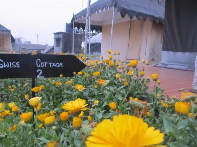Derra Camp And Resort Jhajra Bagian luar foto