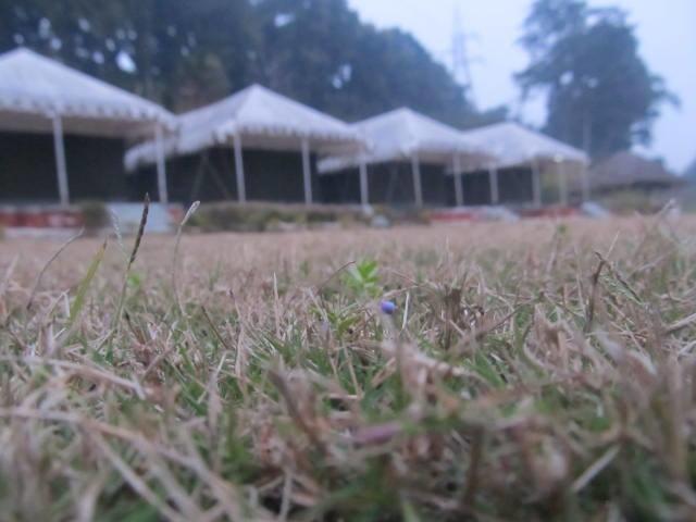 Derra Camp And Resort Jhajra Bagian luar foto